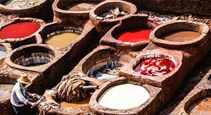 Tanneries Industry
