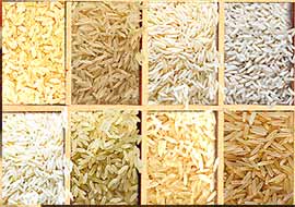 Rice Industry